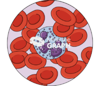 Basophil erythrocytes zoom - Edit and Customize Icons of Basophil erythrocytes zoom Basophil erythrocytes zoom Icons, Symbols, Pictures, and Images