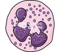 Basophil granulocyte - Edit and Customize Icons of Basophil granulocyte Basophil granulocyte Icons, Symbols, Pictures, and Images