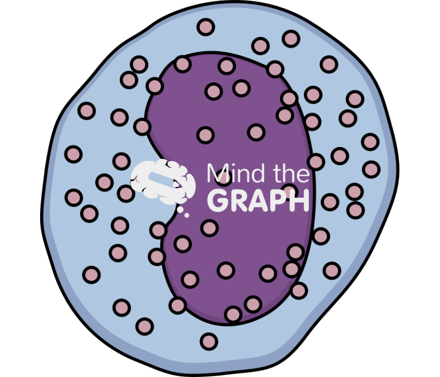 Basophil metamyelocye Icons, Symbols, Pictures, and Images