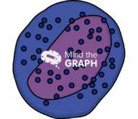 Basophil myelocyte 2 - Edit and Customize Icons of Basophil myelocyte 2 Basophil myelocyte 2 Icons, Symbols, Pictures, and Images