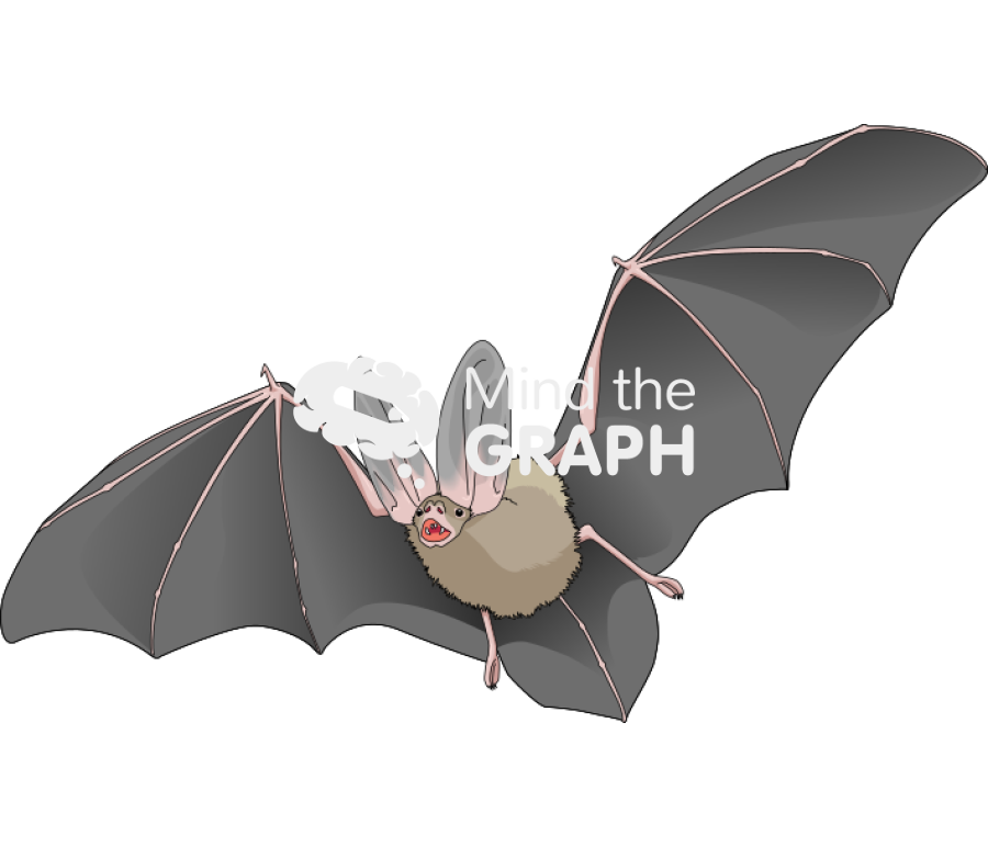 Bat Icons, Symbols, Pictures, and Images