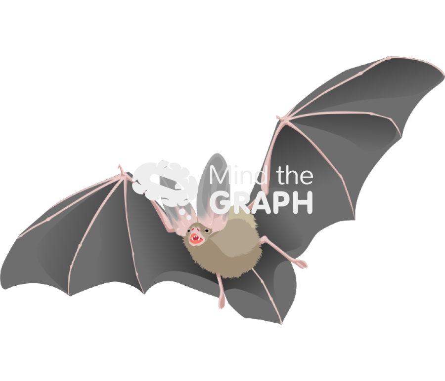 Bat Icons, Symbols, Pictures, and Images