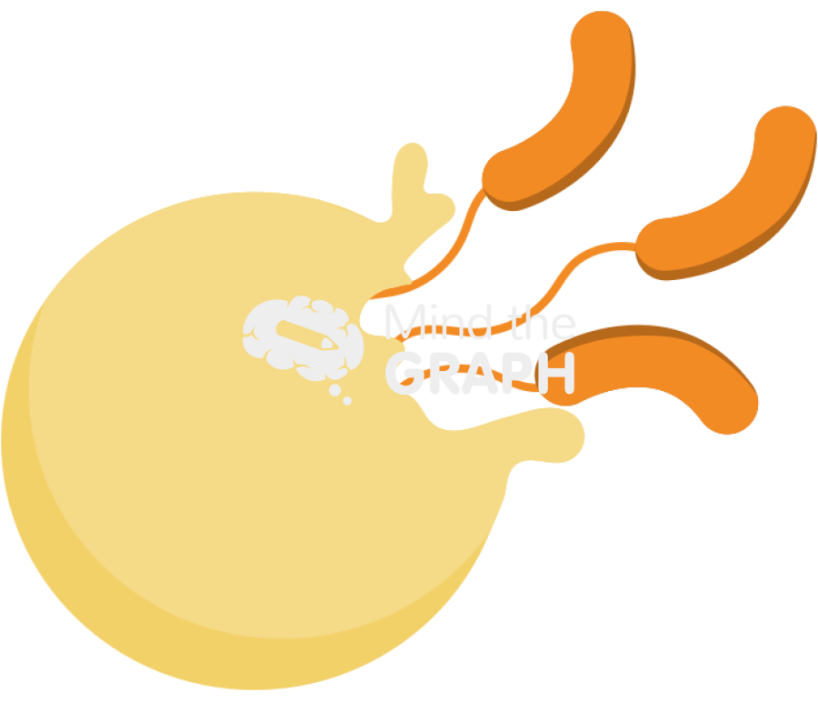 Bdelloplast predatory life cycle release 2 Icons, Symbols, Pictures, and Images