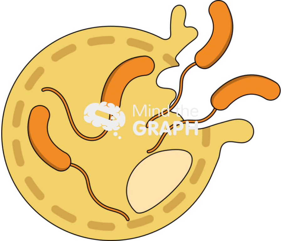 Bdelloplast predatory life cycle release 3 Icons, Symbols, Pictures, and Images