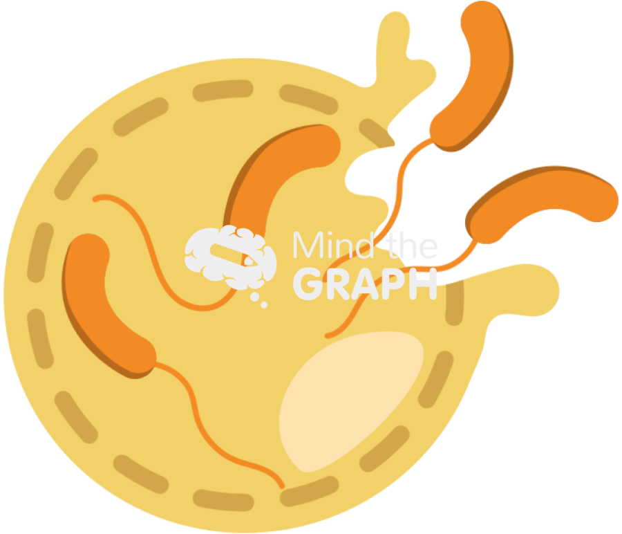 Bdelloplast predatory life cycle release 3 Icons, Symbols, Pictures, and Images