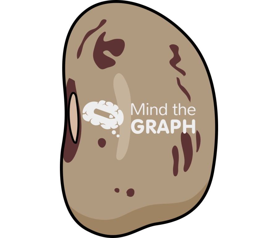 Bean cranberry Icons, Symbols, Pictures, and Images