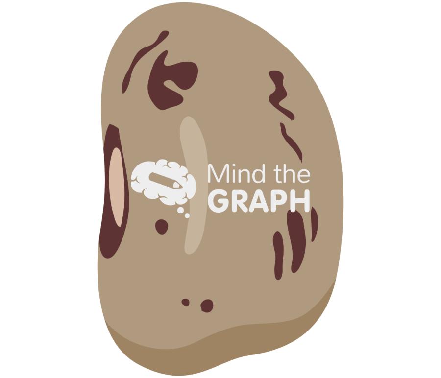 Bean cranberry Icons, Symbols, Pictures, and Images