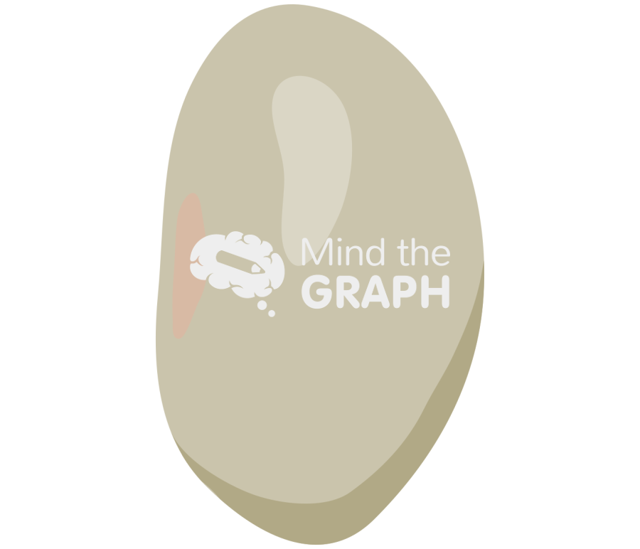 Bean great northern Icons, Symbols, Pictures, and Images