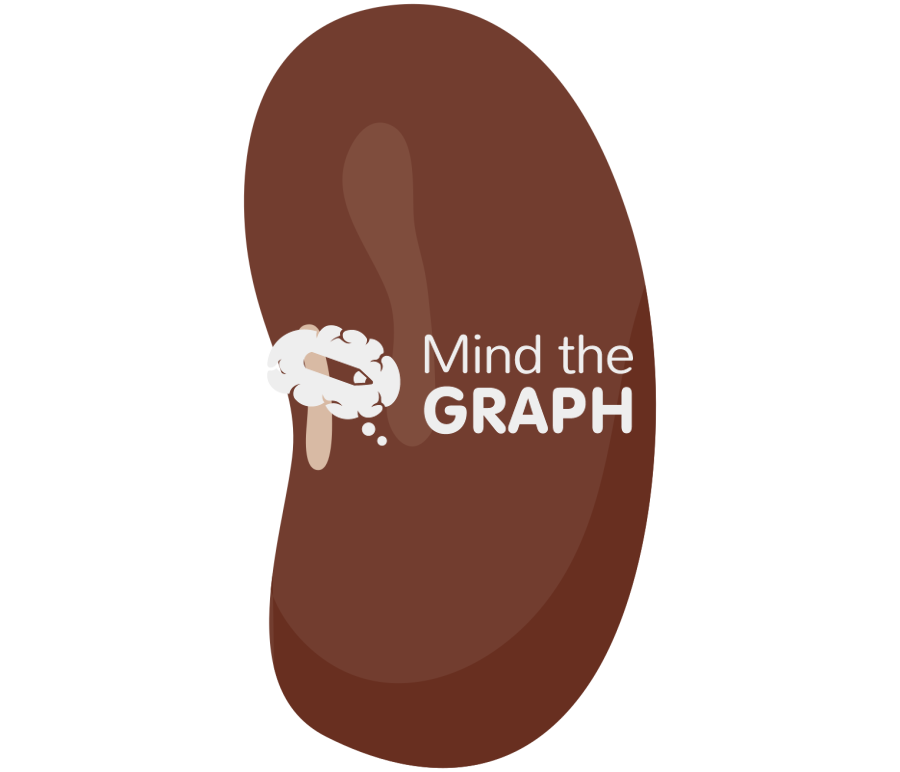 Bean light red kidney Icons, Symbols, Pictures, and Images