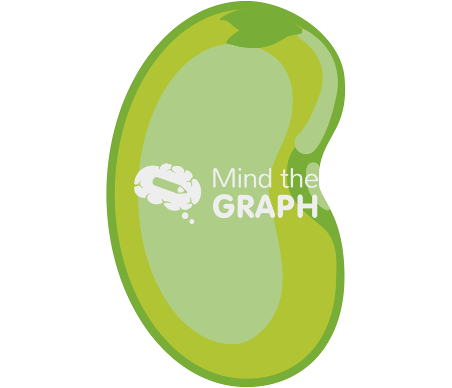 Bean seed Icons, Symbols, Pictures, and Images