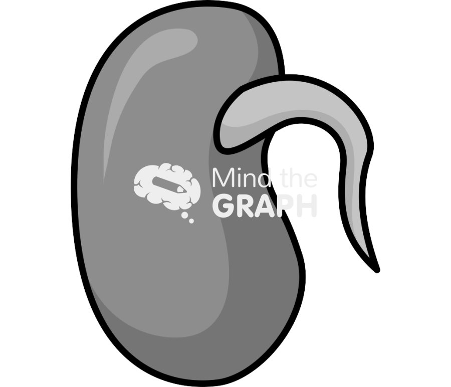 Bean switch seed Icons, Symbols, Pictures, and Images