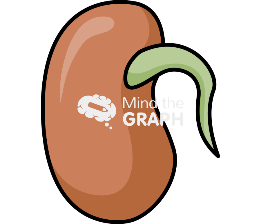 Bean switch seed Icons, Symbols, Pictures, and Images