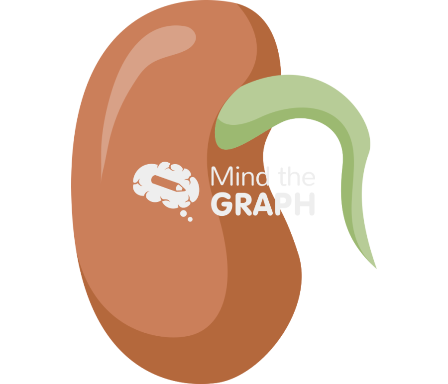 Bean switch seed Icons, Symbols, Pictures, and Images