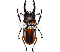 Beetle - Edit and Customize Icons of Beetle Beetle Icons, Symbols, Pictures, and Images