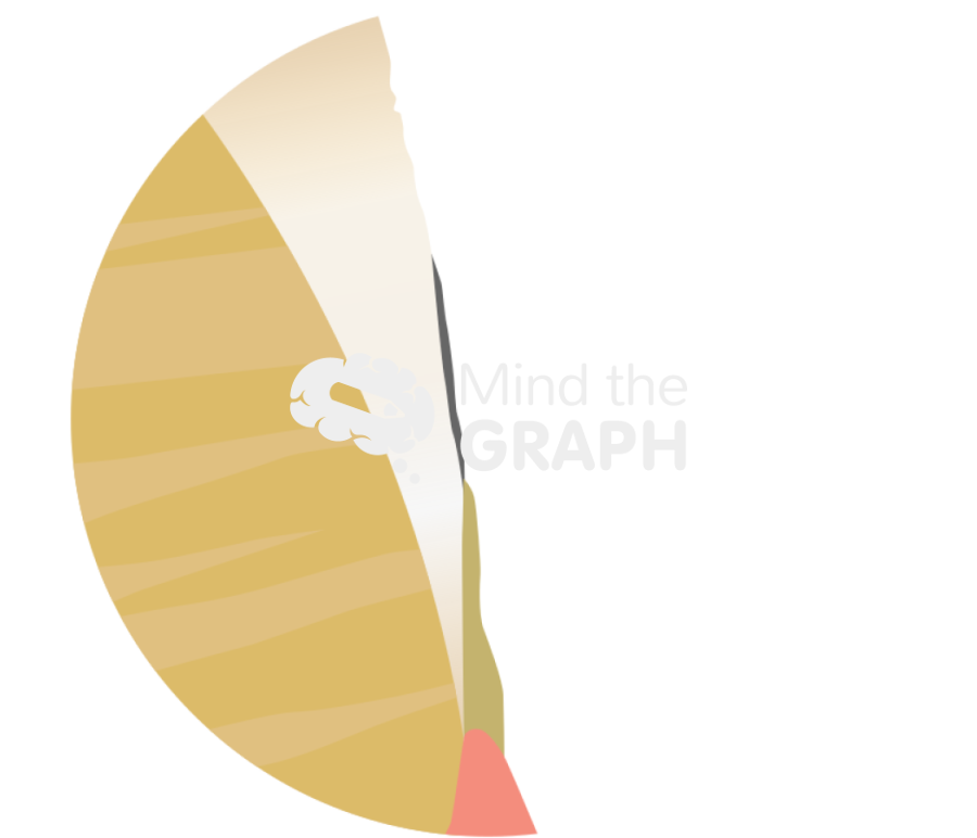 Before teeth whitening hidroxyapatyte zoom Icons, Symbols, Pictures, and Images