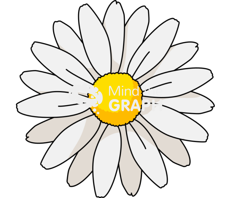 Bellis perennis white Icons, Symbols, Pictures, and Images
