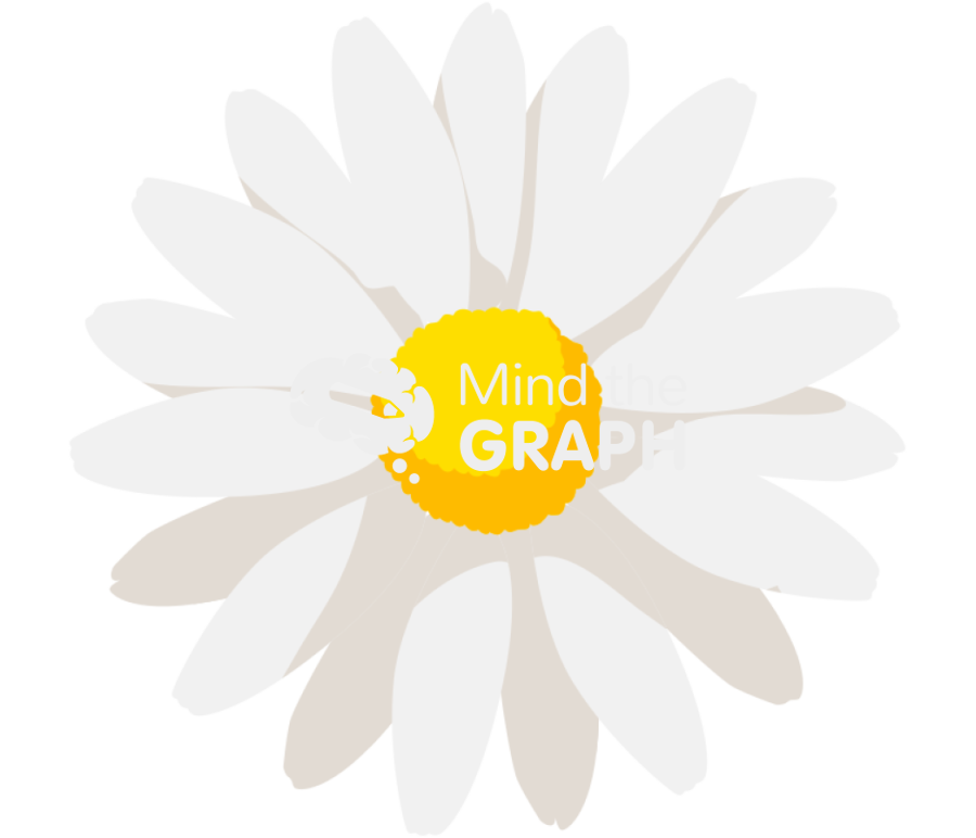 Bellis perennis white Icons, Symbols, Pictures, and Images