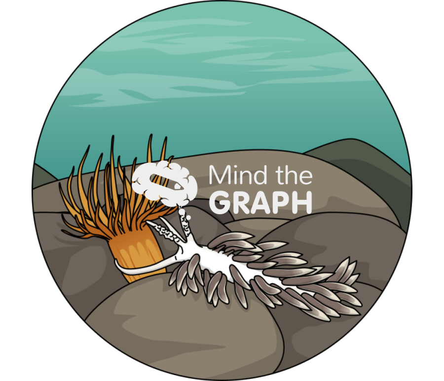 Berghia stephanieae eating exaiptasia diaphana zoom Icons, Symbols, Pictures, and Images