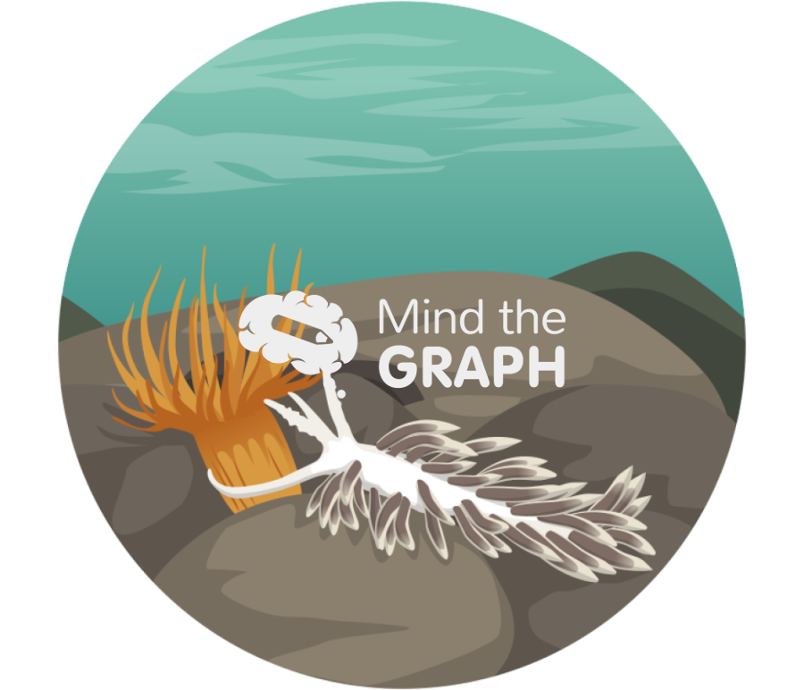 Berghia stephanieae eating exaiptasia diaphana zoom Icons, Symbols, Pictures, and Images