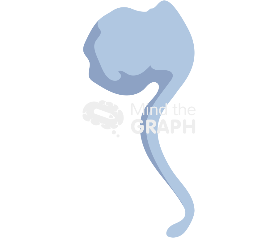 Beta amyloid cleavage enzyme 1 bace Icons, Symbols, Pictures, and Images