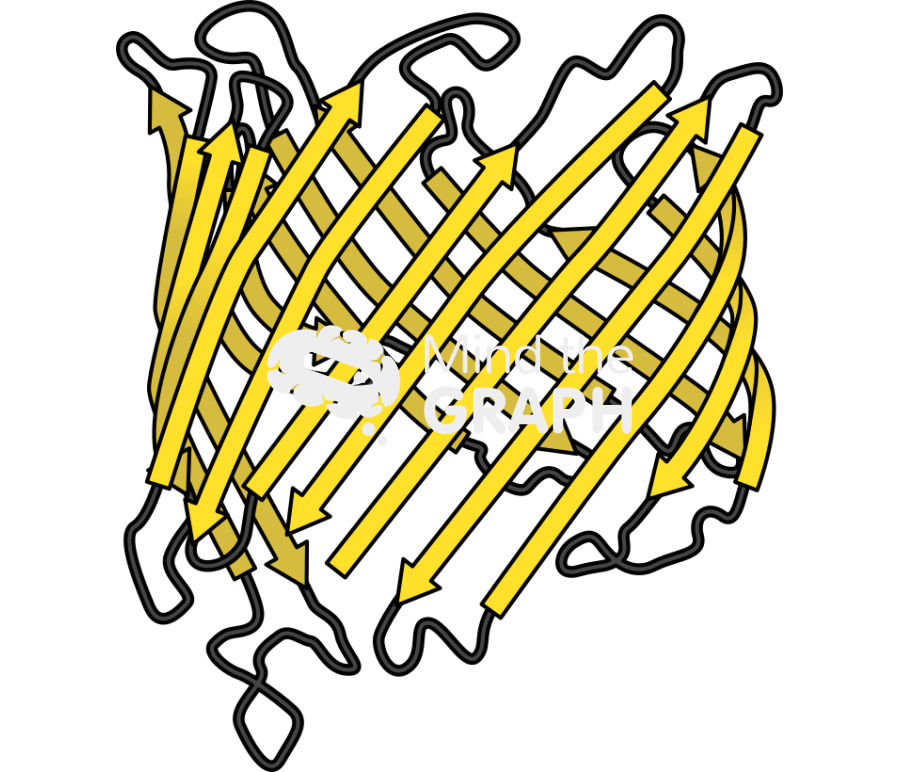 Beta barrel protein 1 Icons, Symbols, Pictures, and Images