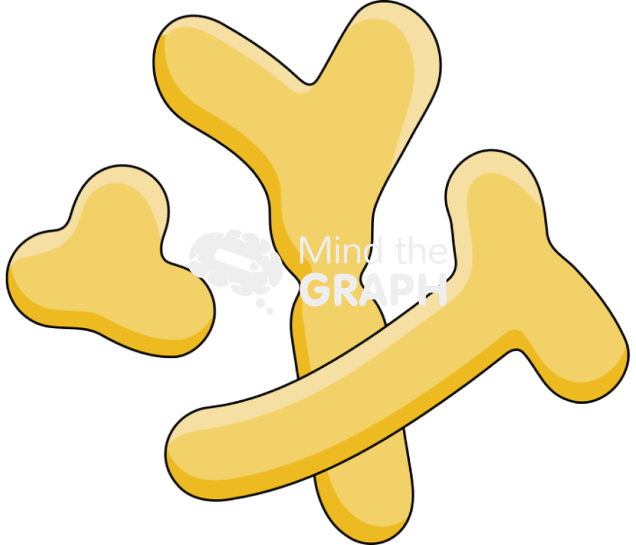 Bifidobacterium Icons, Symbols, Pictures, and Images