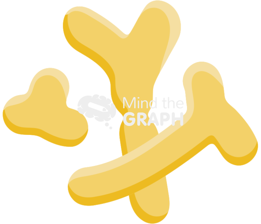 Bifidobacterium Icons, Symbols, Pictures, and Images