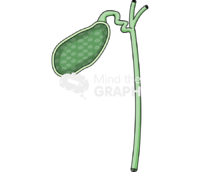 Biliary vesicle gallbladder cut Icons, Symbols, Pictures, and Images