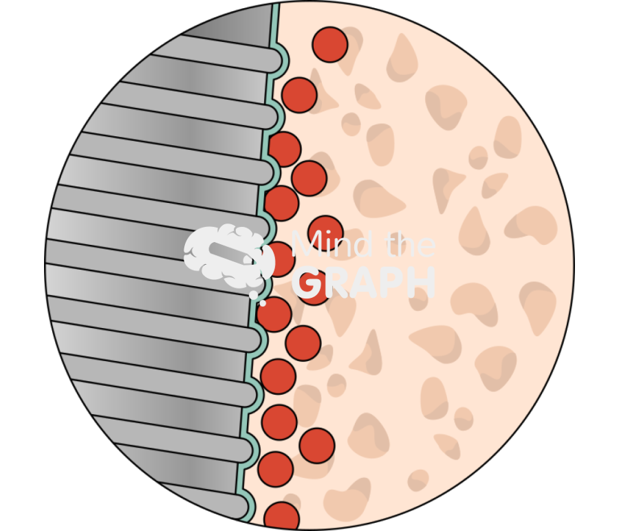 Bioactive coated surface titanium dental implant zoom Icons, Symbols, Pictures, and Images