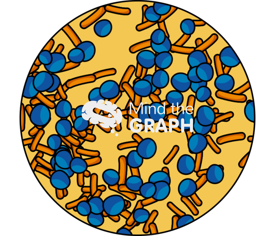 Biofilm bacteria zoom Icons, Symbols, Pictures, and Images