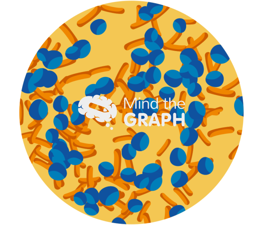 Biofilm bacteria zoom Icons, Symbols, Pictures, and Images