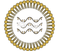 Biontech 162b2 Icons, Symbols, Pictures, and Images