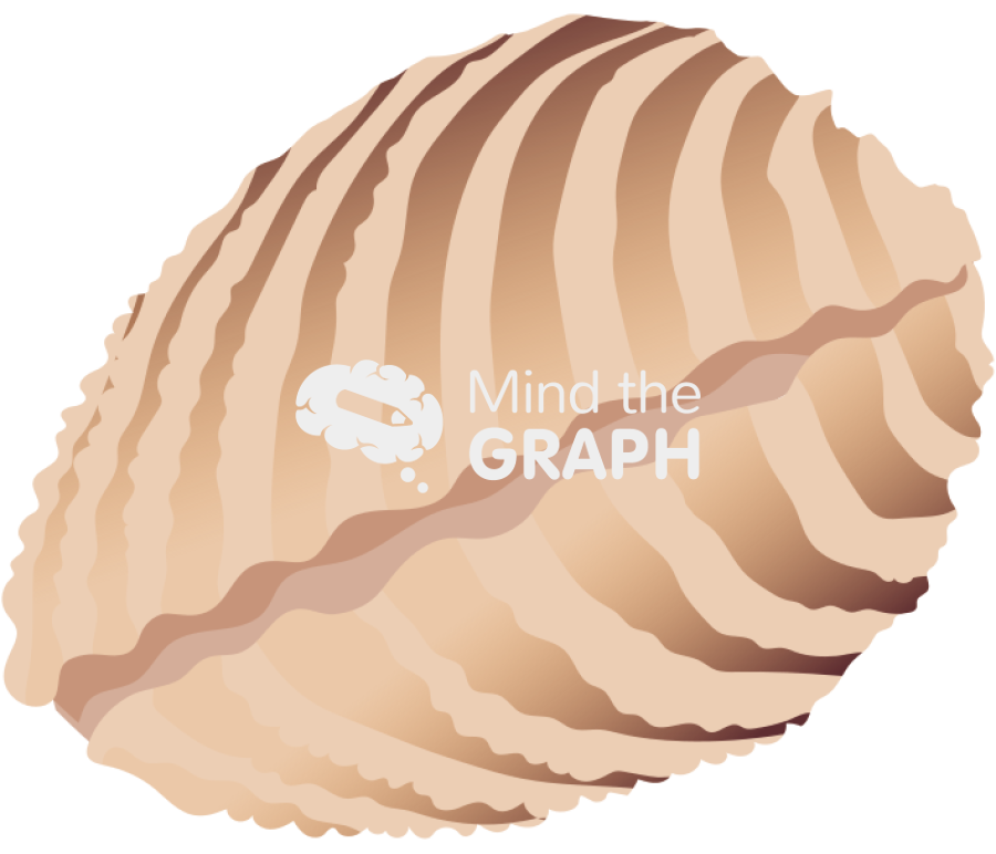 Bivalve mollusk closed Icons, Symbols, Pictures, and Images