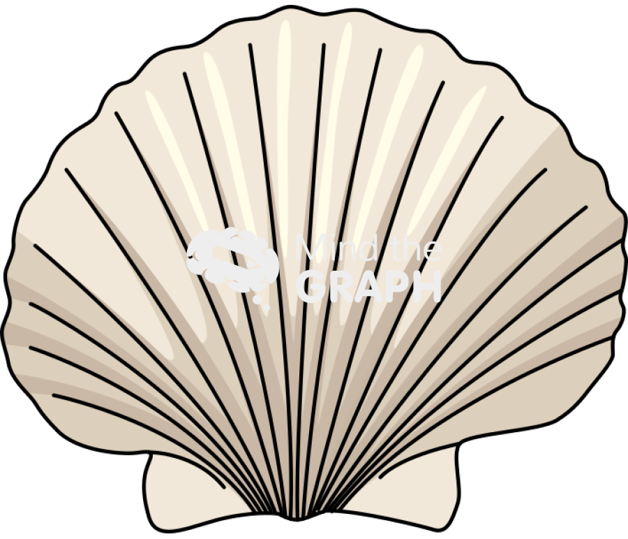 Bivalvia Icons, Symbols, Pictures, and Images