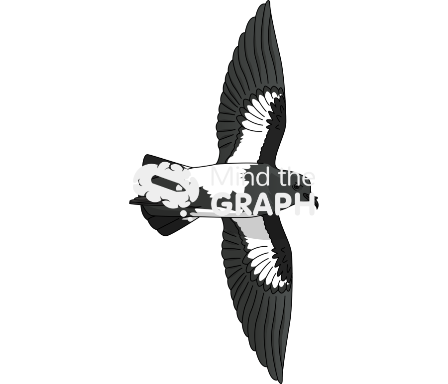 Black bellied storm petrel ventral Icons, Symbols, Pictures, and Images