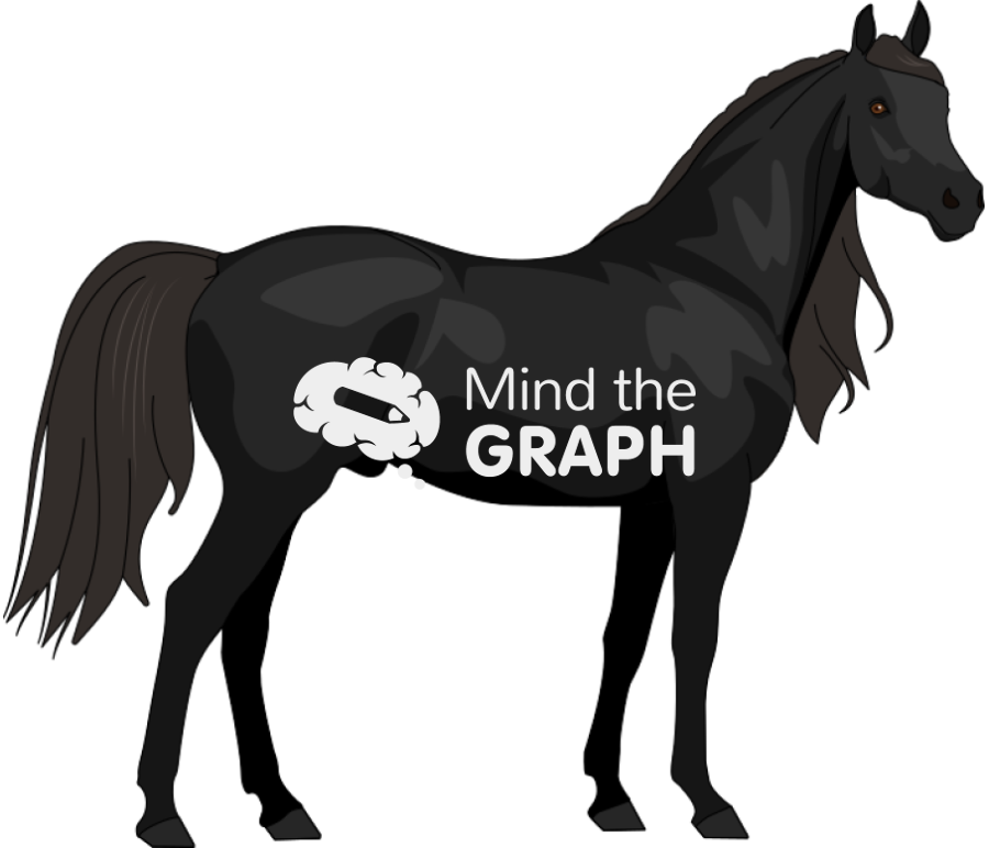 Black horse Icons, Symbols, Pictures, and Images