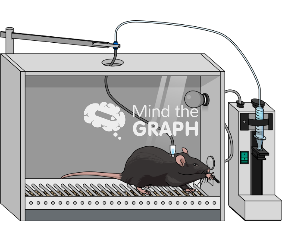 Black rat cocaine self administration chamber grid perspective Icons, Symbols, Pictures, and Images