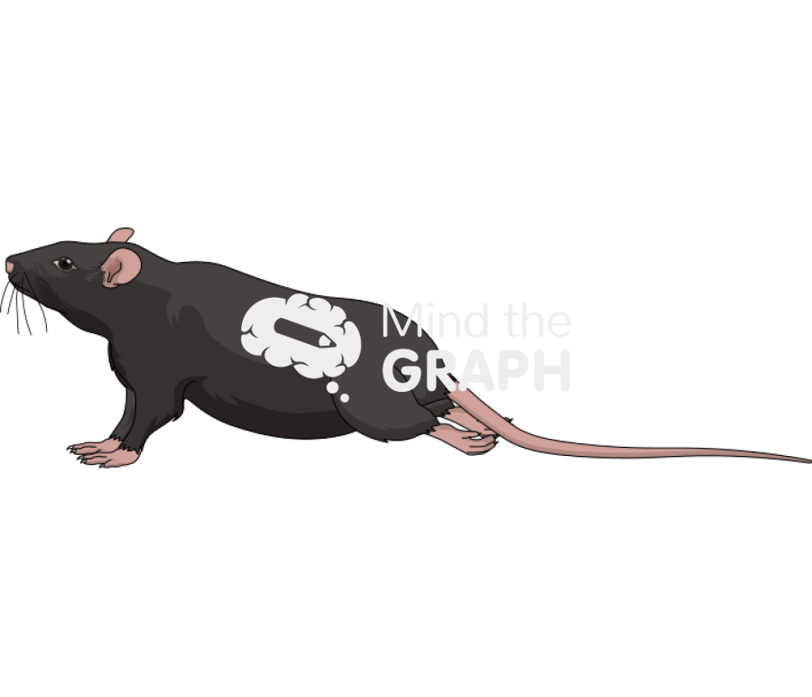 Black rat lateral hind legs paralyzed Icons, Symbols, Pictures, and Images