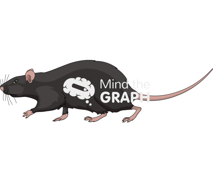 Black rat lateral walking Icons, Symbols, Pictures, and Images