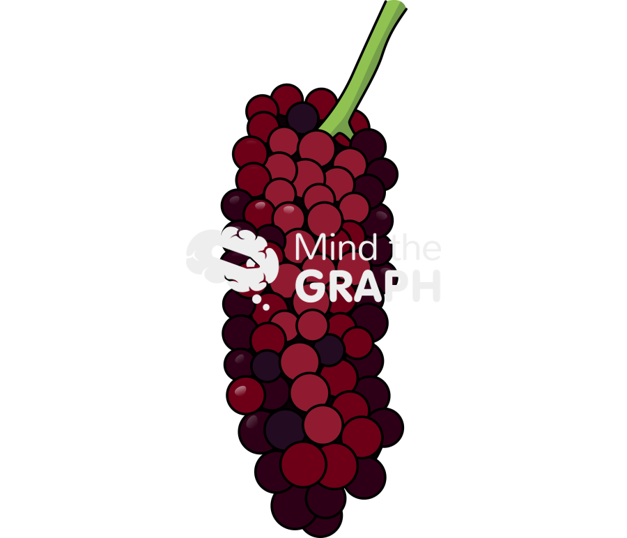 Blackberry ripe fruit Icons, Symbols, Pictures, and Images