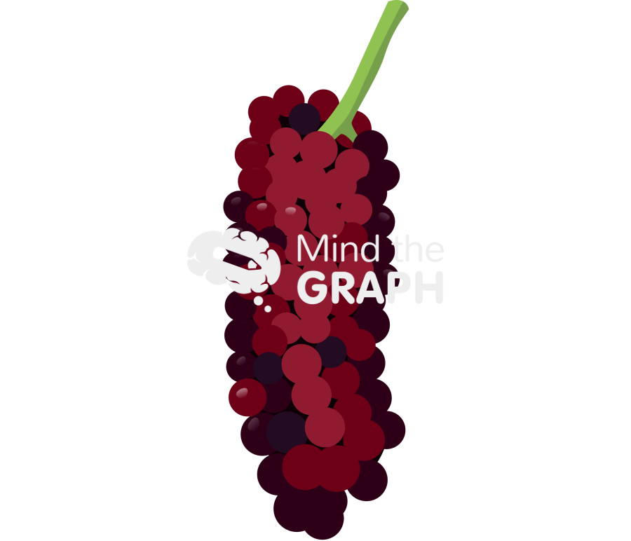 Blackberry ripe fruit Icons, Symbols, Pictures, and Images