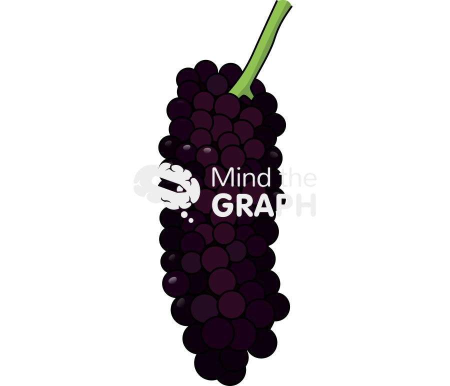 Blackberry ripe full fruit Icons, Symbols, Pictures, and Images