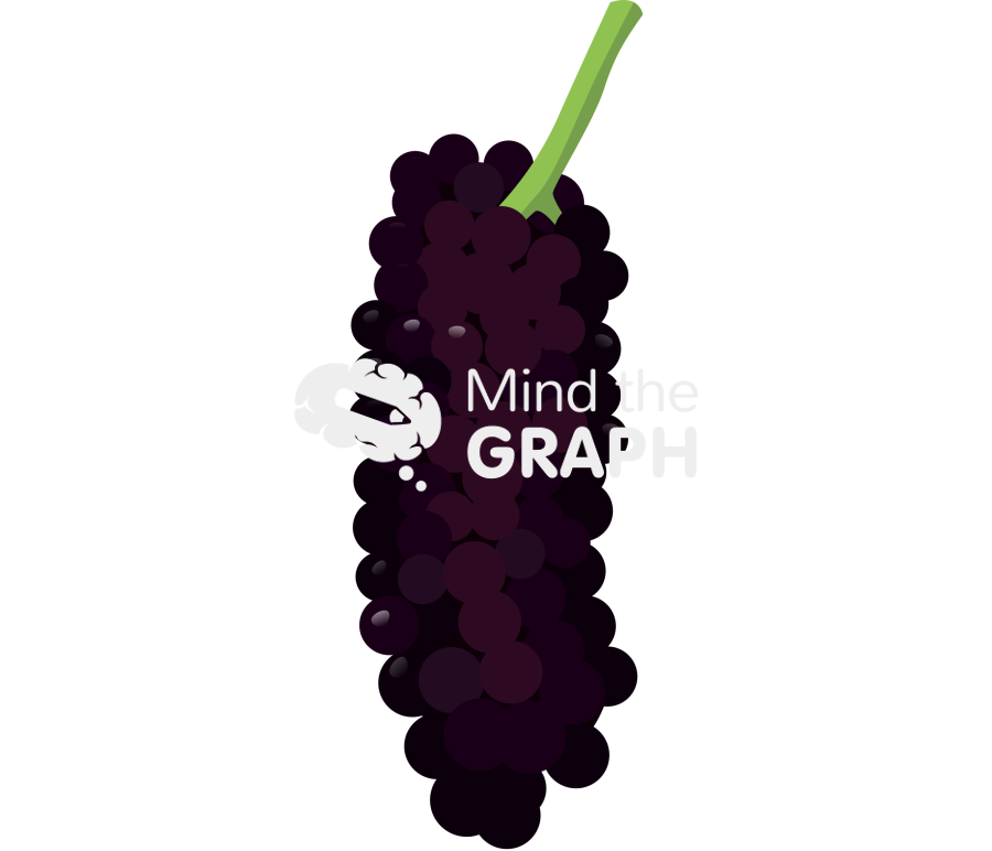 Blackberry ripe full fruit Icons, Symbols, Pictures, and Images