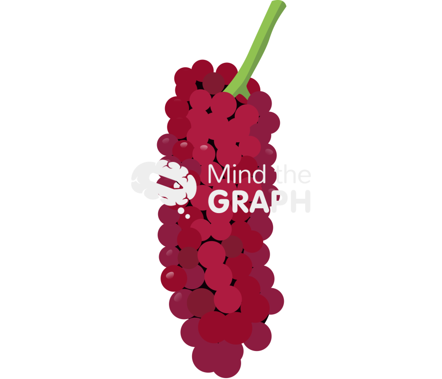 Blackberry unripe fruit Icons, Symbols, Pictures, and Images