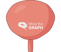 Bladder hemicystectomy 1 - Edit and Customize Icons of Bladder hemicystectomy 1 Bladder hemicystectomy 1 Icons, Symbols, Pictures, and Images