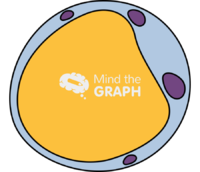 Blastocystis hominis vacuolar - Edit and Customize Icons of Blastocystis hominis vacuolar Blastocystis hominis vacuolar Icons, Symbols, Pictures, and Images