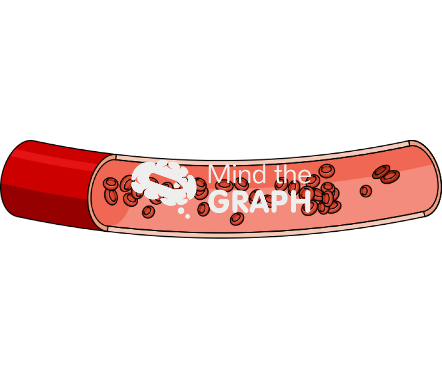 Blood artery healthy Icons, Symbols, Pictures, and Images