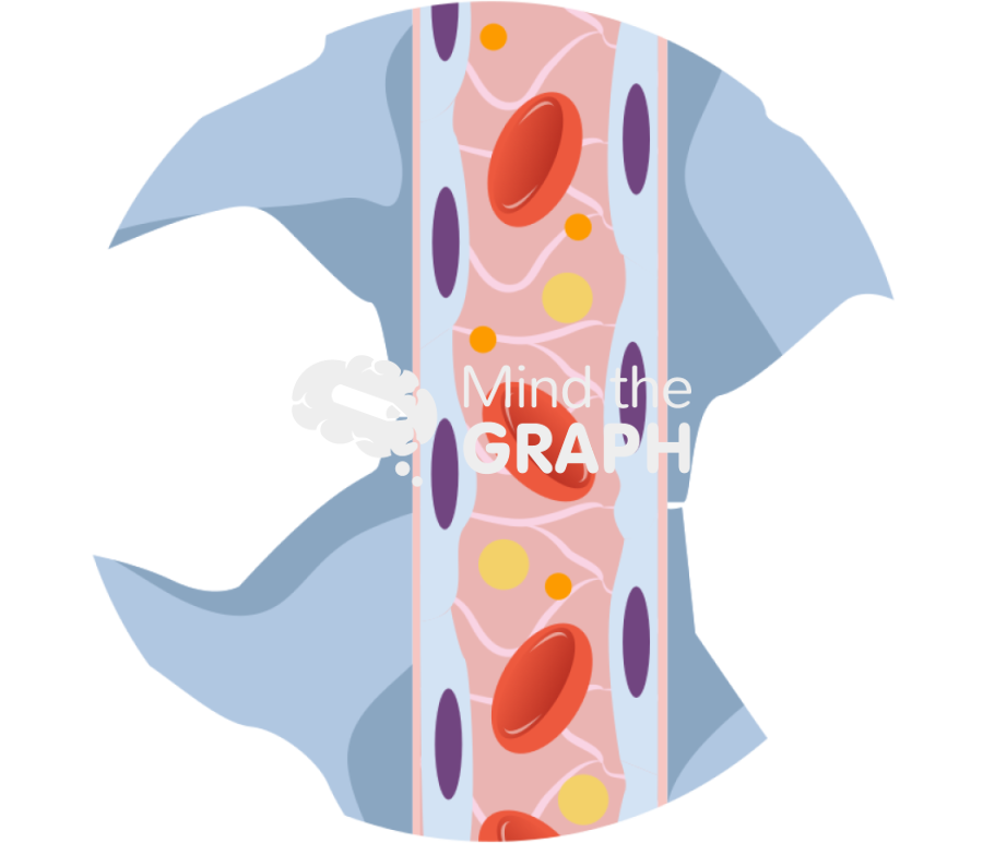 Blood brain barrier side Icons, Symbols, Pictures, and Images