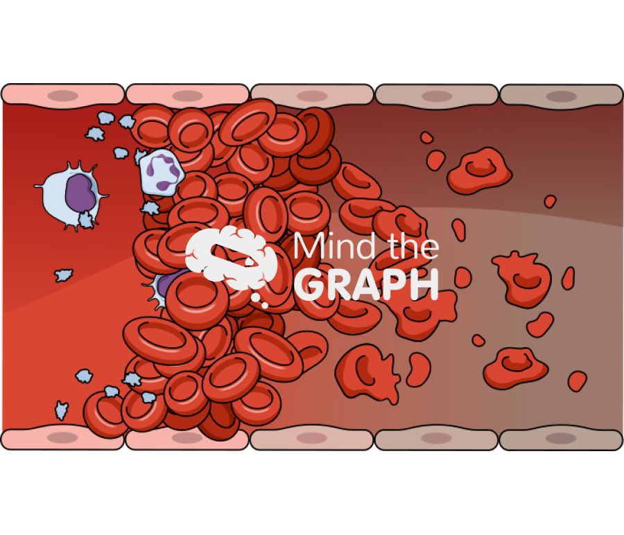 Blood cell thrombotic microangiopathies vessel front cut Icons, Symbols, Pictures, and Images