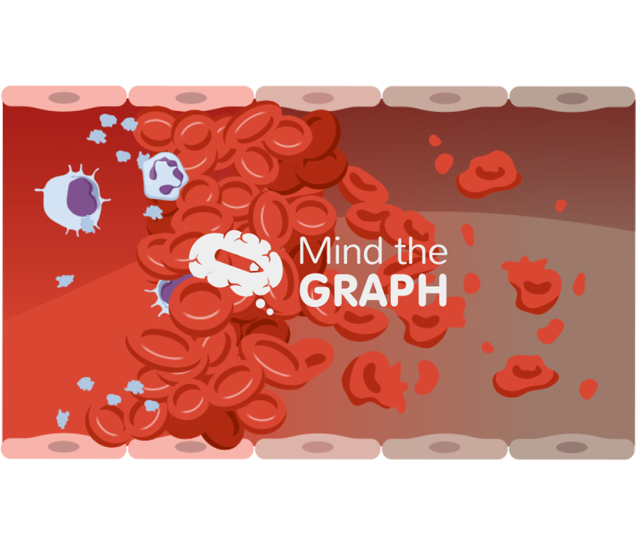 Blood cell thrombotic microangiopathies vessel front cut Icons, Symbols, Pictures, and Images